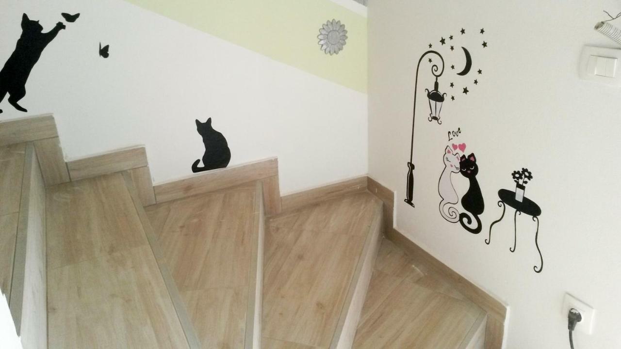 Vacation House "Viola" ฟาชานา ภายนอก รูปภาพ